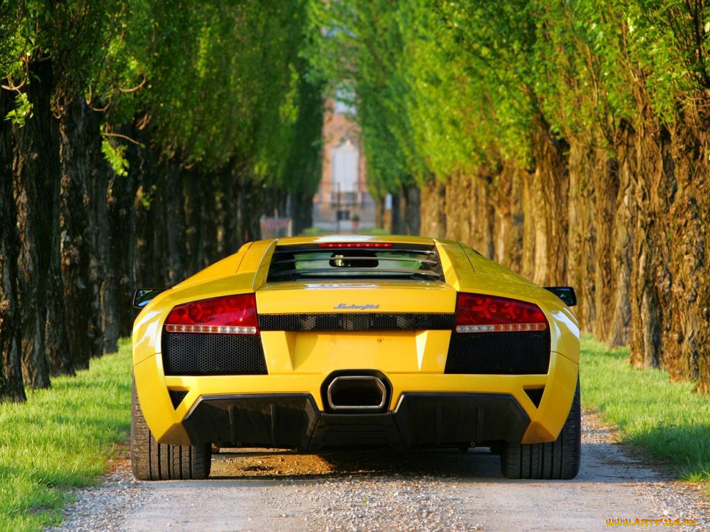 , lamborghini